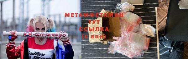 мдпв Гусев