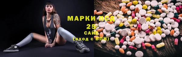 мдпв Гусев
