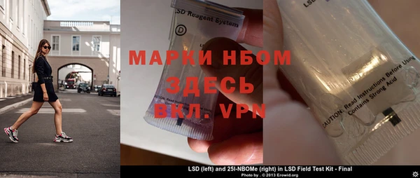 мдпв Гусев