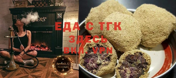 мдпв Гусев