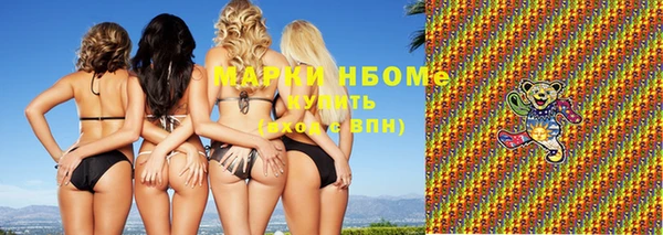 мдпв Гусев