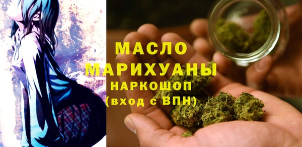 мдпв Гусев