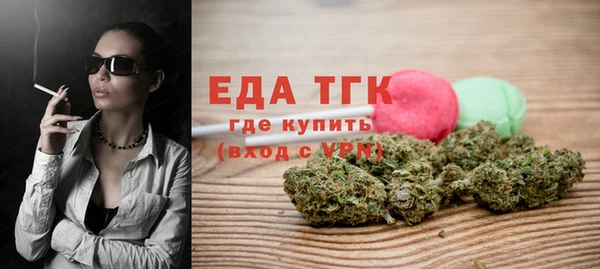 мдпв Гусев