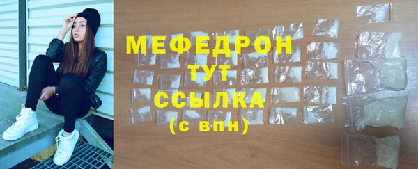 мдпв Гусев